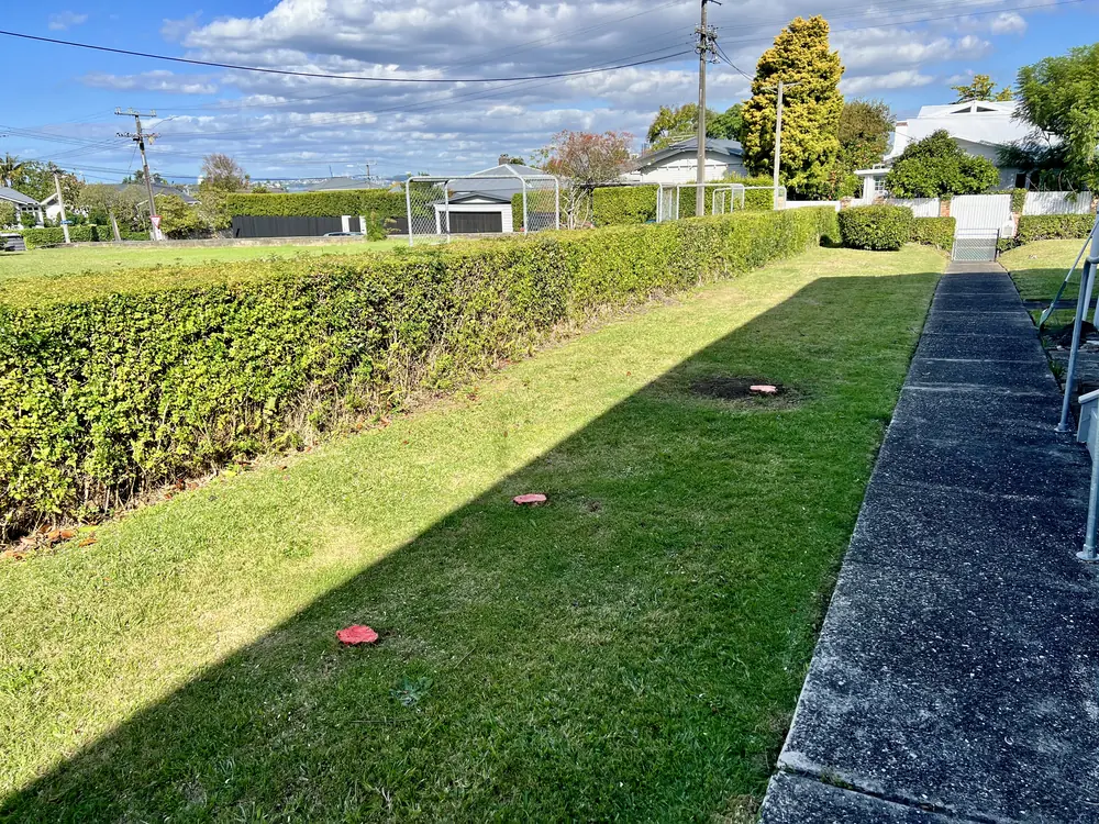 The same garden after removal: clear lawn and path, hedge trimmed